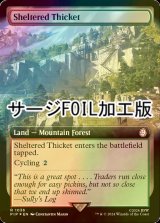 [FOIL] 隠れた茂み/Sheltered Thicket No.1036 (拡張アート版・サージ仕様) 【英語版】 [PIP-土地R]