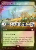 [FOIL] サングラスの大草原/Sungrass Prairie No.1041 (拡張アート版・サージ仕様) 【英語版】 [PIP-土地R]