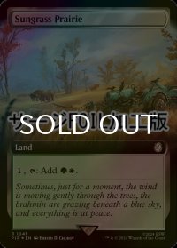 [FOIL] サングラスの大草原/Sungrass Prairie No.1041 (拡張アート版・サージ仕様) 【英語版】 [PIP-土地R]