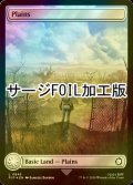 [FOIL] 平地/Plains No.845 (全面アート版・サージ仕様) 【英語版】 [PIP-土地C]