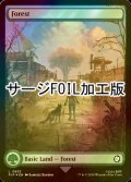 [FOIL] 森/Forest No.853 (全面アート版・サージ仕様) 【英語版】 [PIP-土地C]