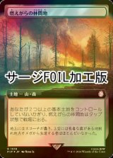 [FOIL] 燃えがらの林間地/Cinder Glade No.1018 (拡張アート版・サージ仕様) 【日本語版】 [PIP-土地R]