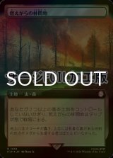 [FOIL] 燃えがらの林間地/Cinder Glade No.1018 (拡張アート版・サージ仕様) 【日本語版】 [PIP-土地R]