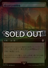 [FOIL] 燃えがらの林間地/Cinder Glade No.1018 (拡張アート版・サージ仕様) 【日本語版】 [PIP-土地R]