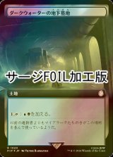 [FOIL] ダークウォーターの地下墓地/Darkwater Catacombs No.1020 (拡張アート版・サージ仕様) 【日本語版】 [PIP-土地R]