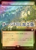 [FOIL] 隠れた茂み/Sheltered Thicket No.1036 (拡張アート版・サージ仕様) 【日本語版】 [PIP-土地R]