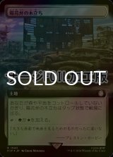 [FOIL] 陽花弁の木立ち/Sunpetal Grove No.1043 (拡張アート版・サージ仕様) 【日本語版】 [PIP-土地R]