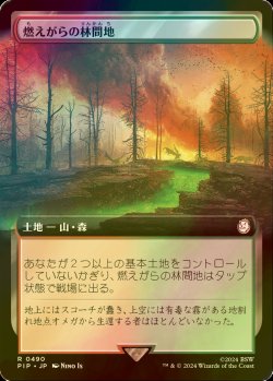 画像1: [FOIL] 燃えがらの林間地/Cinder Glade No.490 (拡張アート版) 【日本語版】 [PIP-土地R]