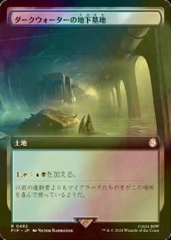 画像1: [FOIL] ダークウォーターの地下墓地/Darkwater Catacombs No.492 (拡張アート版) 【日本語版】 [PIP-土地R]