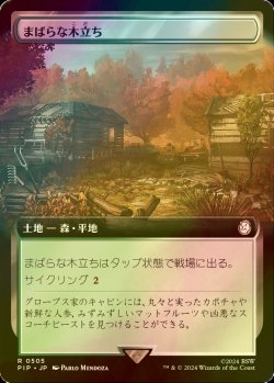 画像1: [FOIL] まばらな木立ち/Scattered Groves No.505 (拡張アート版) 【日本語版】 [PIP-土地R]