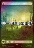 [FOIL] 沼/Swamp No.849 (全面アート版・サージ仕様) 【日本語版】 [PIP-土地C]