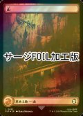 [FOIL] 山/Mountain No.852 (全面アート版・サージ仕様) 【日本語版】 [PIP-土地C]