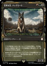 忠実な友、ドッグミート/Dogmeat, Ever Loyal (ショーケース版) 【日本語版】 [PIP-金MR]