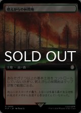 燃えがらの林間地/Cinder Glade (拡張アート版) 【日本語版】 [PIP-土地R]