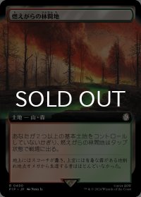 燃えがらの林間地/Cinder Glade (拡張アート版) 【日本語版】 [PIP-土地R]