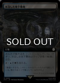 水没した地下墓地/Drowned Catacomb (拡張アート版) 【日本語版】 [PIP-土地R]