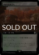まばらな木立ち/Scattered Groves (拡張アート版) 【日本語版】 [PIP-土地R]