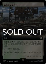 陽花弁の木立ち/Sunpetal Grove (拡張アート版) 【日本語版】 [PIP-土地R]