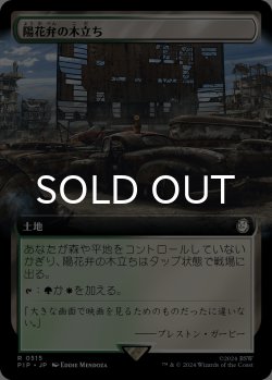 画像1: 陽花弁の木立ち/Sunpetal Grove (拡張アート版) 【日本語版】 [PIP-土地R]