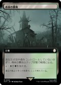 森林の墓地/Woodland Cemetery (拡張アート版) 【日本語版】 [PIP-土地R]