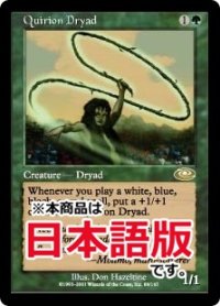 クウィリーオンのドライアド/Quirion Dryad (PLS/緑R/日/通常/NM) ※詳細要確認