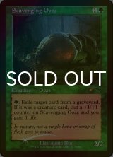 [FOIL] 漁る軟泥/Scavenging Ooze (旧枠) 【英語版】 [PRM-緑P]