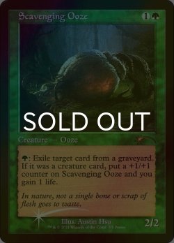 画像1: [FOIL] 漁る軟泥/Scavenging Ooze (旧枠) 【英語版】 [PRM-緑P]