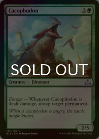 [FOIL] カコフォドン/Cacophodon 【英語版】 [RIX-緑U]