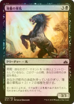 画像1: [FOIL] 薄暮の軍馬/Dusk Charger 【日本語版】 [RIX-黒C]