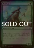 [FOIL] カコフォドン/Cacophodon 【日本語版】 [RIX-緑U]