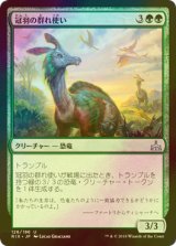 [FOIL] 冠羽の群れ使い/Crested Herdcaller 【日本語版】 [RIX-緑U]