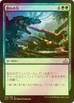 画像1: [FOIL] 群れの力/Strength of the Pack 【日本語版】 [RIX-緑U]