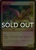 [FOIL] 執拗な猛竜/Relentless Raptor 【日本語版】 [RIX-金U]