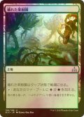 [FOIL] 穢れた果樹園/Foul Orchard 【日本語版】 [RIX-土地U]