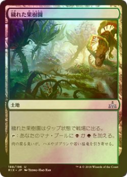 画像1: [FOIL] 穢れた果樹園/Foul Orchard 【日本語版】 [RIX-土地U]