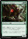 鬱蒼たるアルマサウルス/Overgrown Armasaur 【日本語版】 [RIX-緑C]