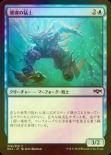 [FOIL] 珊瑚の猛士/Coral Commando 【日本語版】 [RNA-青C]