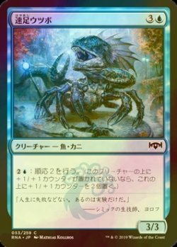 画像1: [FOIL] 速足ウツボ/Skitter Eel 【日本語版】 [RNA-青C]