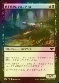 画像1: [FOIL] 地下墓地のクロコダイル/Catacomb Crocodile 【日本語版】 [RNA-黒C]