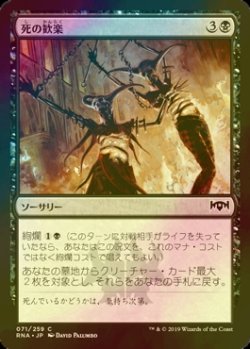 画像1: [FOIL] 死の歓楽/Dead Revels 【日本語版】 [RNA-黒C]