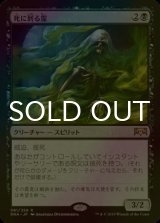 [FOIL] 死に到る霊/Pestilent Spirit 【日本語版】 [RNA-黒R]