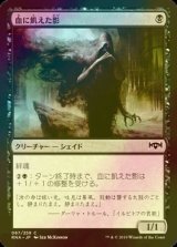 [FOIL] 血に飢えた影/Thirsting Shade 【日本語版】 [RNA-黒C]