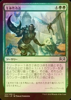 画像1: [FOIL] 生体性改造/Biogenic Upgrade 【日本語版】 [RNA-緑U]