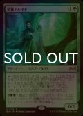 [FOIL] 培養ドルイド/Incubation Druid 【日本語版】 [RNA-緑R]