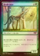 [FOIL] 森の刷毛履き/Sylvan Brushstrider 【日本語版】 [RNA-緑C]