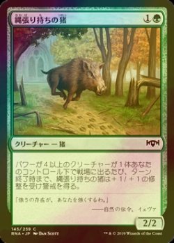 画像1: [FOIL] 縄張り持ちの猪/Territorial Boar 【日本語版】 [RNA-緑C]