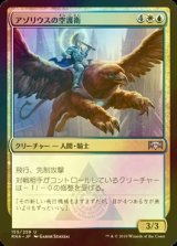 [FOIL] アゾリウスの空護衛/Azorius Skyguard 【日本語版】 [RNA-金U]