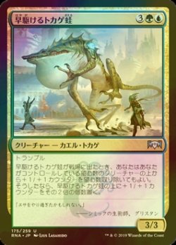 画像1: [FOIL] 早駆けるトカゲ蛙/Galloping Lizrog 【日本語版】 [RNA-金U]