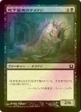 [FOIL] 地下墓地のナメクジ/Catacomb Slug 【日本語版】 [RTR-黒C]