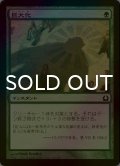 [FOIL] 巨大化/Giant Growth 【日本語版】 [RTR-緑C]